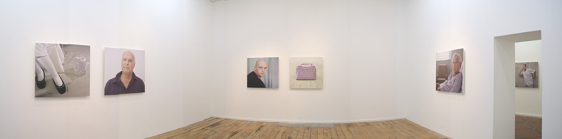 Transplant installation, The Nunnery Gallery, London, 2008