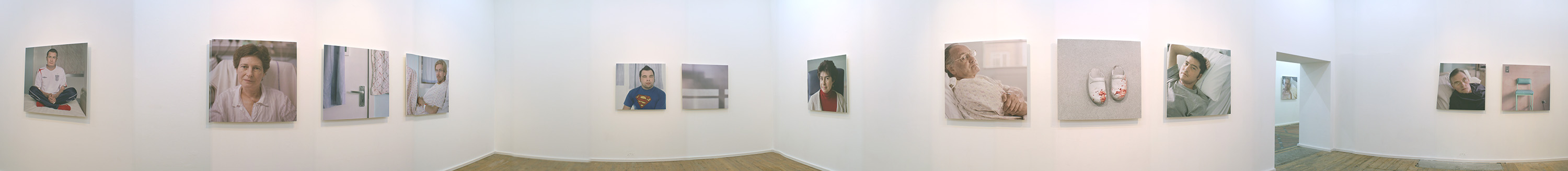 Transplant installation panorama, The Nunnery Gallery, London, 2008